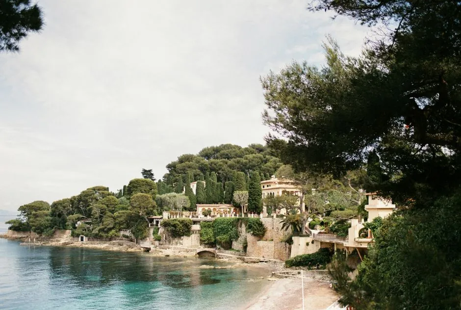 Vue d'ensemble d'un jardin entretenu par Dutto Paysage