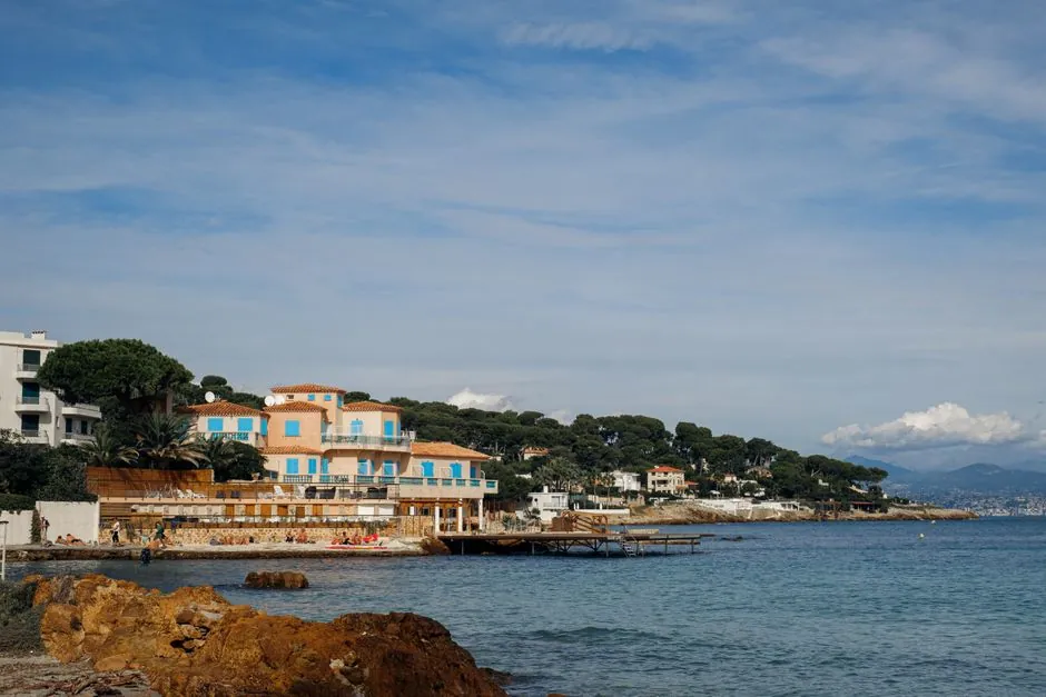 Jardin méditerranéen aménagé avec oliviers et pierre naturelle, signature Dutto Paysage à Antibes